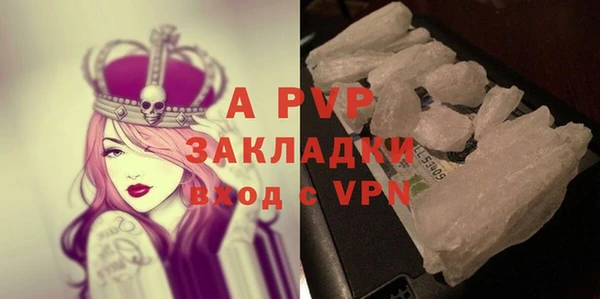 бошки Гусев