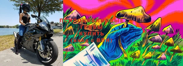 гашишное масло Абаза