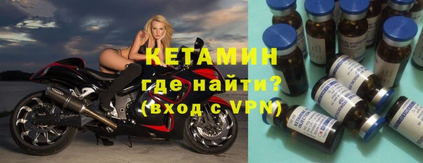 прущие грибы Гусиноозёрск