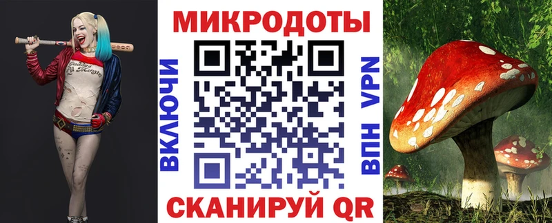Псилоцибиновые грибы Psilocybe  Приволжск 